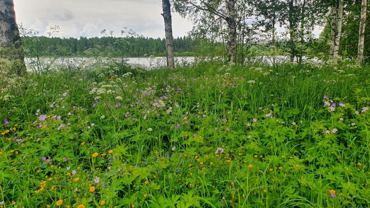 Viihtyisae Kolmio Jaerven Rannalla Haapavesi Eksteriør billede